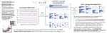 Toward a Muscle-Synergy-Based Model of Post-Stroke Pathology